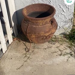 Plant Pot 
