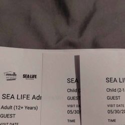 Seal Life Tickets