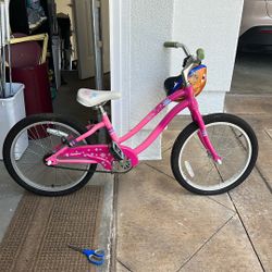 GIANT Bella Bike 