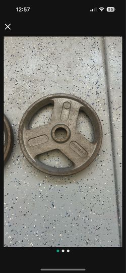 Weider 35 lbs weights