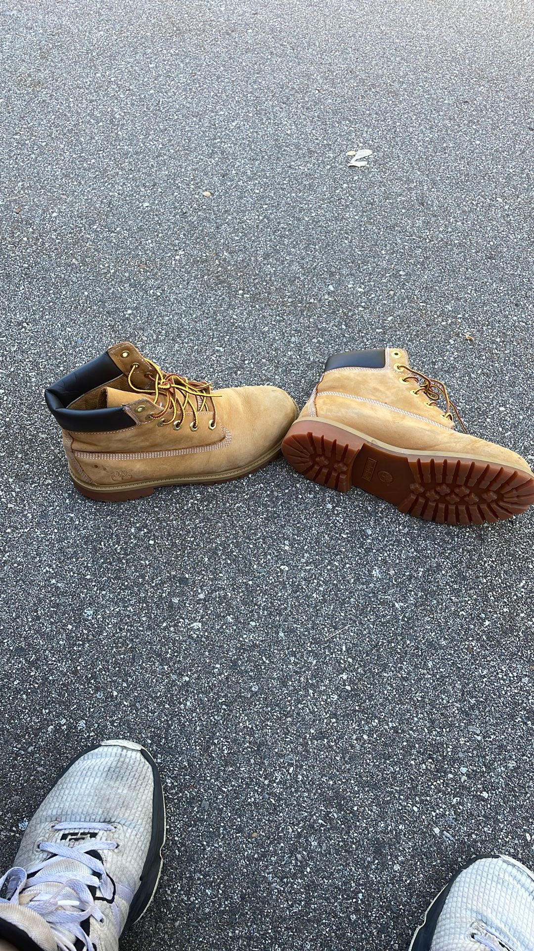 Timberland 6” Boots Size 7