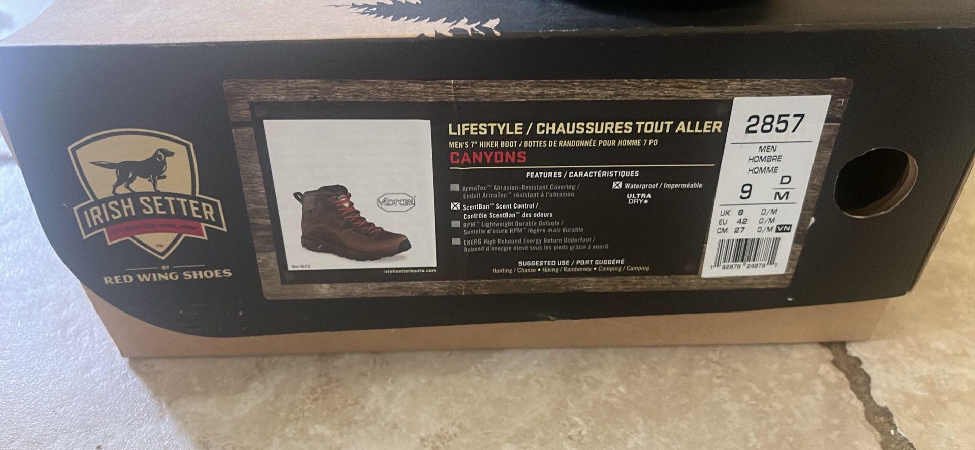 Red Wing (Irish setter)