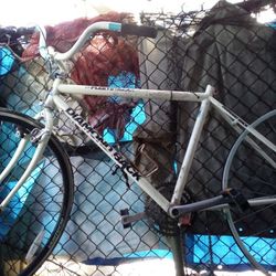 29 Inch Diamond Back Bike 