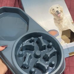 Dog Plate 