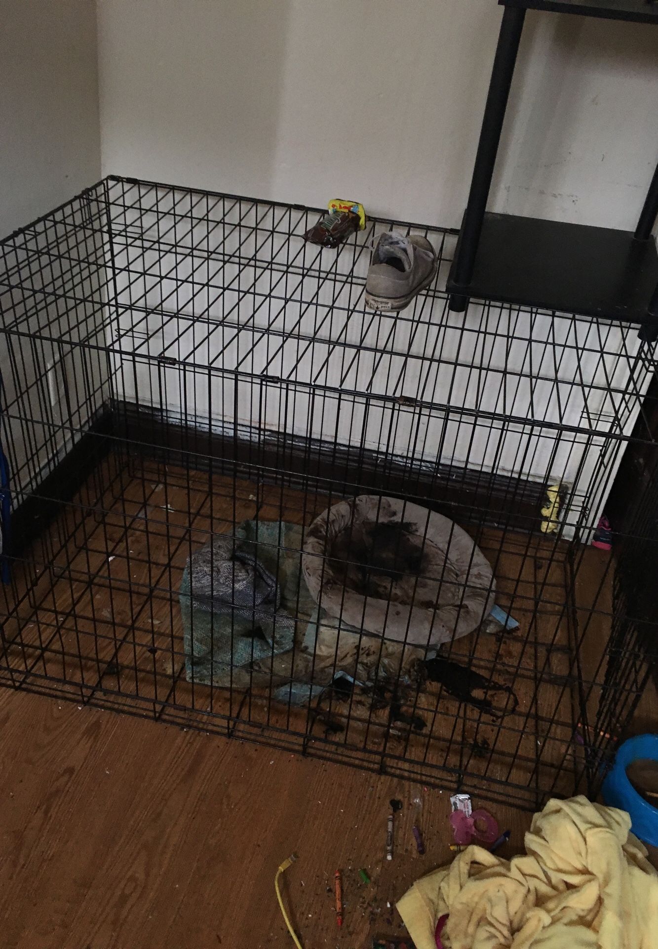 Large dog crate