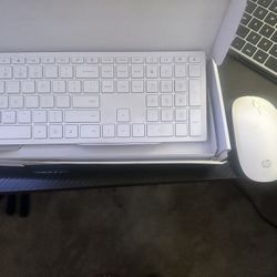 HP Mouse and Keyboard Set 
