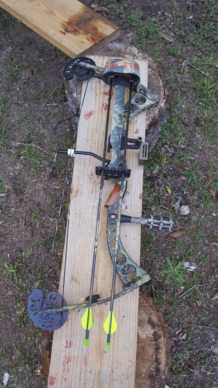 Archery Research AR31 Compound bow