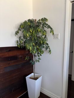 Decoración