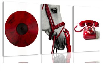 Set of 3 Red, Black & White Canvas Wall Art – 16 × 24 Inches – $20