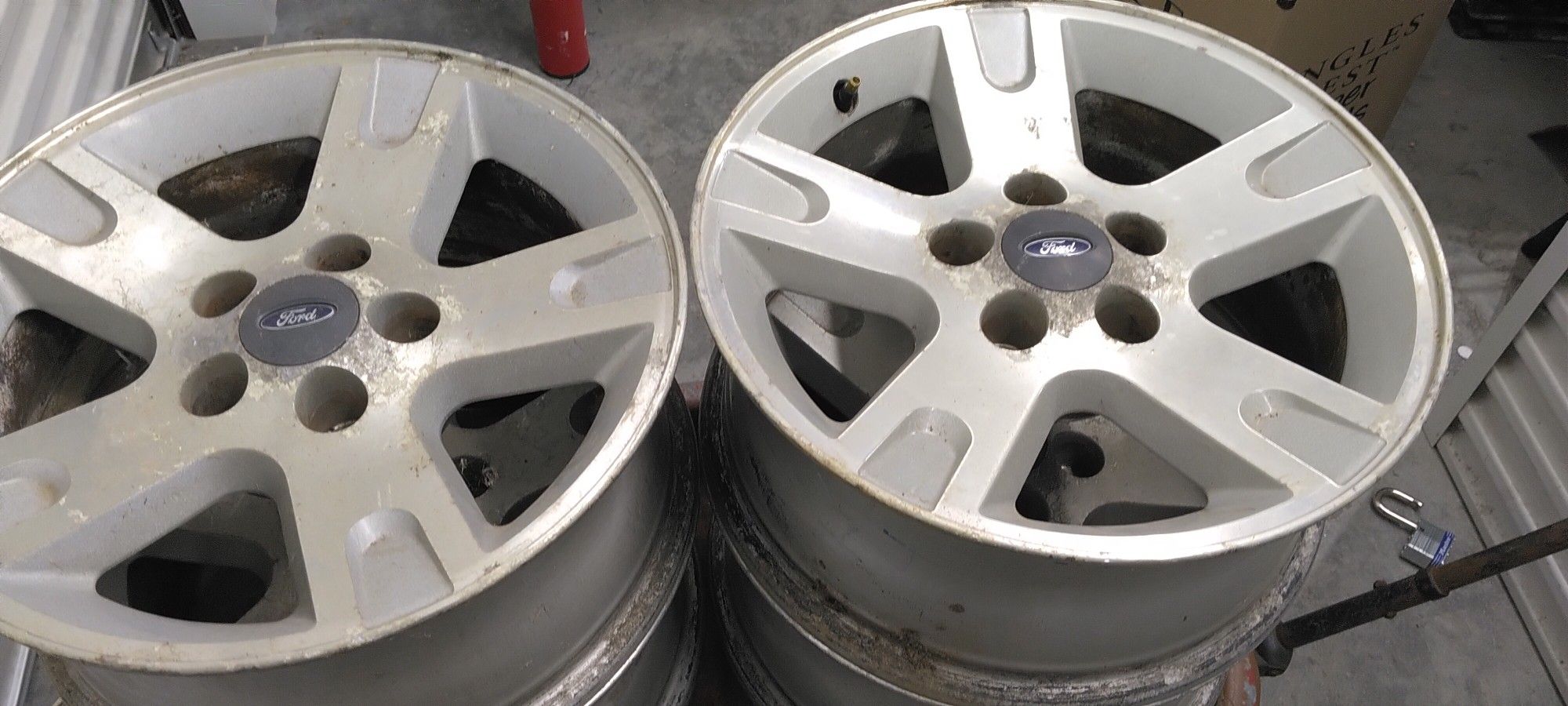 Ford Factory Wheels 16'