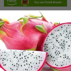 Dragon Fruit Starter Plant Fully Rooted In 1 Gallon Pot