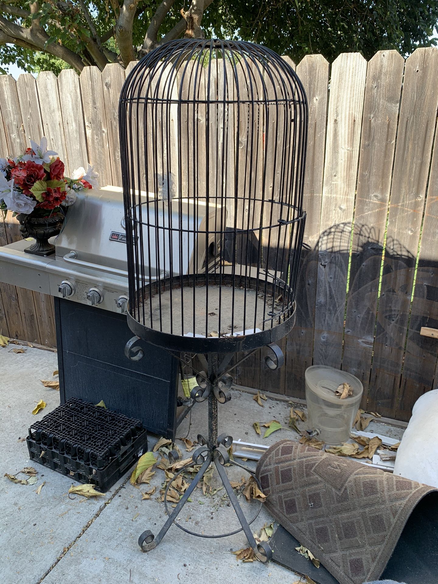 bird cage