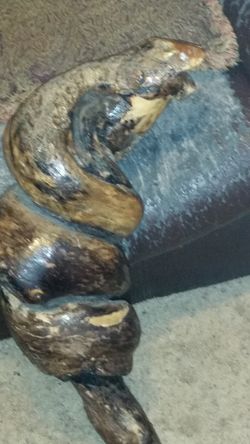 Snakewood carving