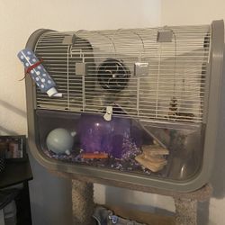 hamster Cage With Everything For Hamster