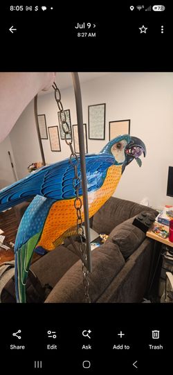 Jesus Bustamante Large Blue and Yellow Macaw Parrot