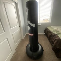 Punching Bag 