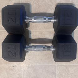 20 Pound Dumbbells 