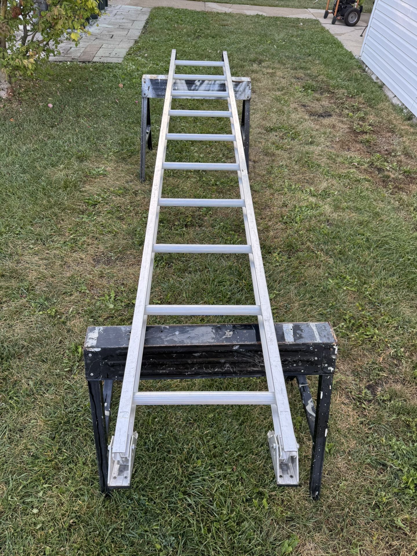 Werner 10’ Ladder 