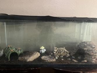 Reptile Tank