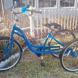 Blue Three-Wheel Alameda Bike Tricycle Bicycle