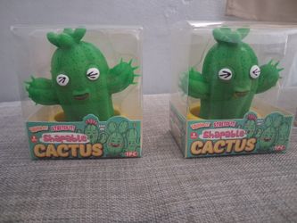 Cactus 🌵 with pot  sand bean bag squishy
