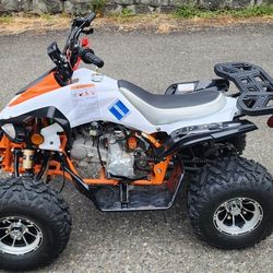 Tao Tao New Cheetah 125cc 2022
