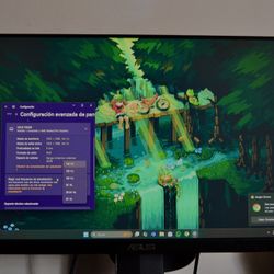 Gaming Monitor ASUS VG249Q