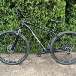 Large Cannondale Mtn Bike