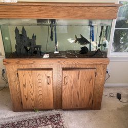 55 Gallon Fish Tank Long