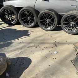 Wide body Tires