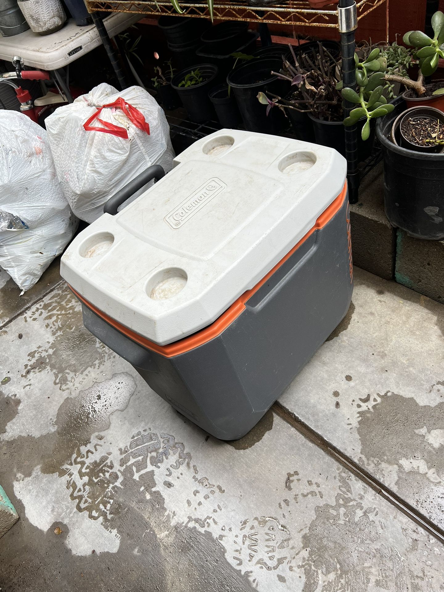 Coleman Cooler 