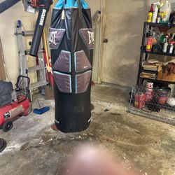 Punching Bag Everlast 