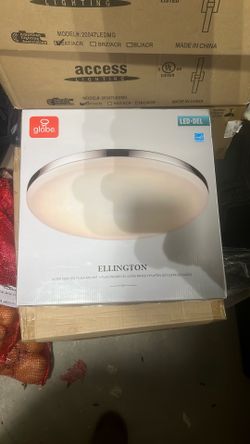 Led-del Globe Lights