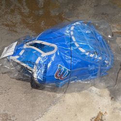 Wilson Catcher’s Mitt brand new 