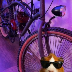 Motorbike