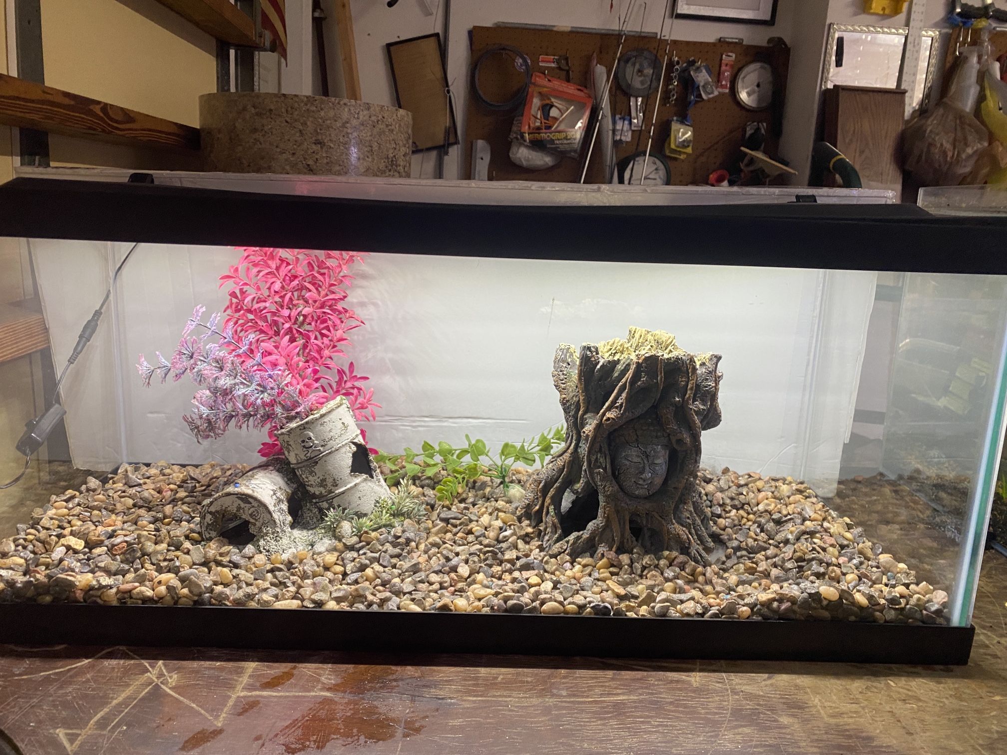 20 Gallon Long Aquarium, Fish Tank With Lid And Lights, Decorations, And Gravel And Filter And Heater