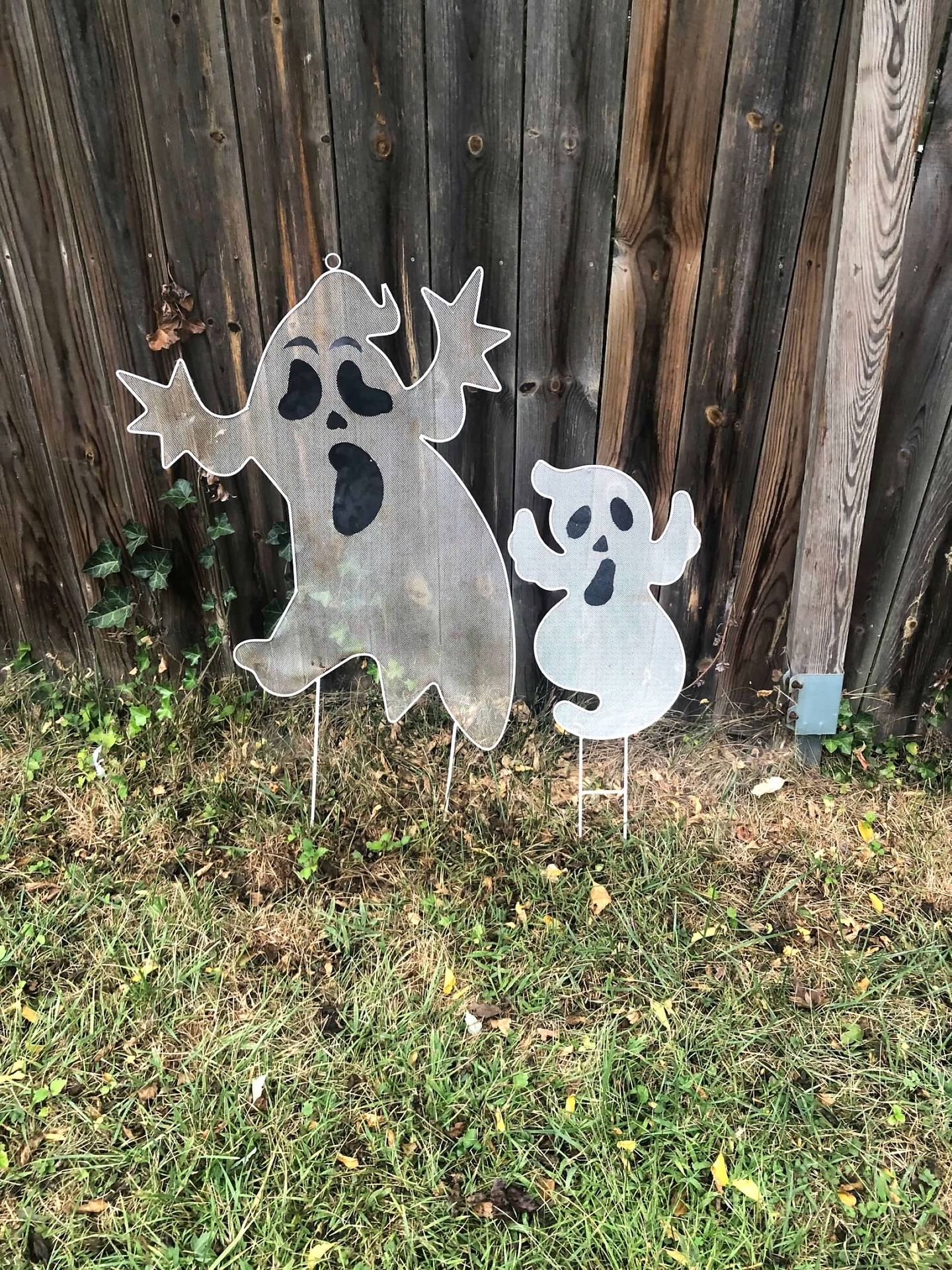 Halloween Decor See Pics