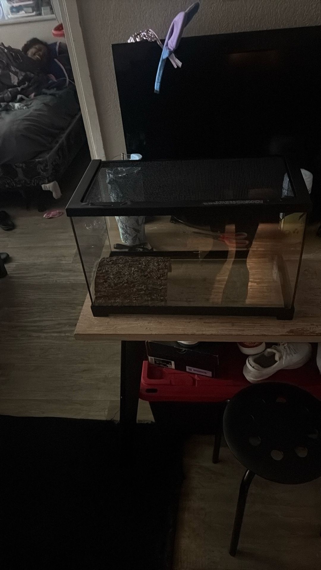 Tank 10 Gallon