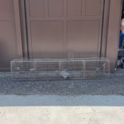 Trap Cage Chicken Coop 