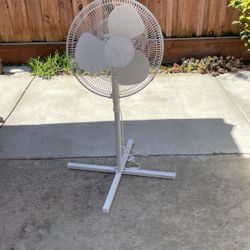 Fan