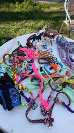 Collares Para Los 🐩 Perritos Al $10 Los Grande Y Al $5.00 Los Chicos