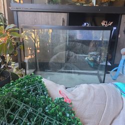 38 Gallon Aquarium 