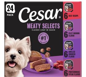Dog food