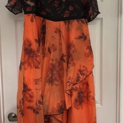 Fall Women’s Dress Size XL (fits like a 14)