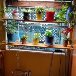 Plant Shelf 