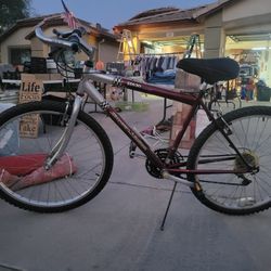 Royce Union 21 Speed Mens Bike