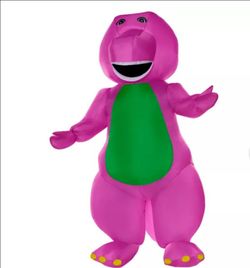 Adult Barney Costume