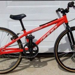 20" Felt Sector Mini BMX Race Bike 