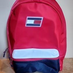 Tommy Hilfiger Sport Colorblock Backpack