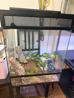 Reptile enclosure